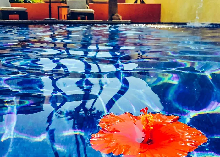 Hotel Casa Natalia Boutique (adults Only) San Jose del Cabo